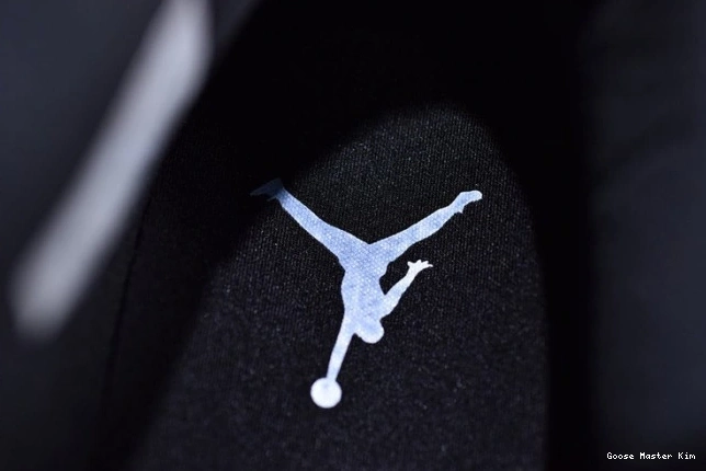 4 Air Jordan Mushroom AQ9129-200 0809